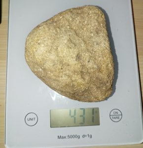 431