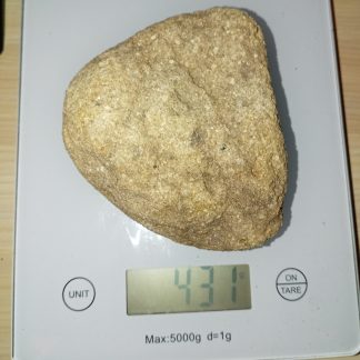 431