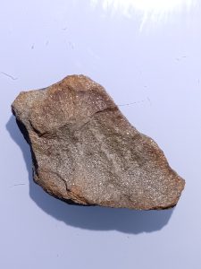 31meteor